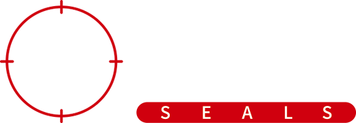 國(guó)昊密封